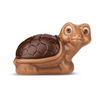 Schildkröte